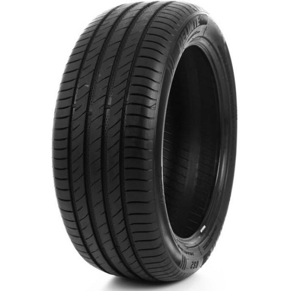 Delinte DS-2 SUV 255/60 R18 112H